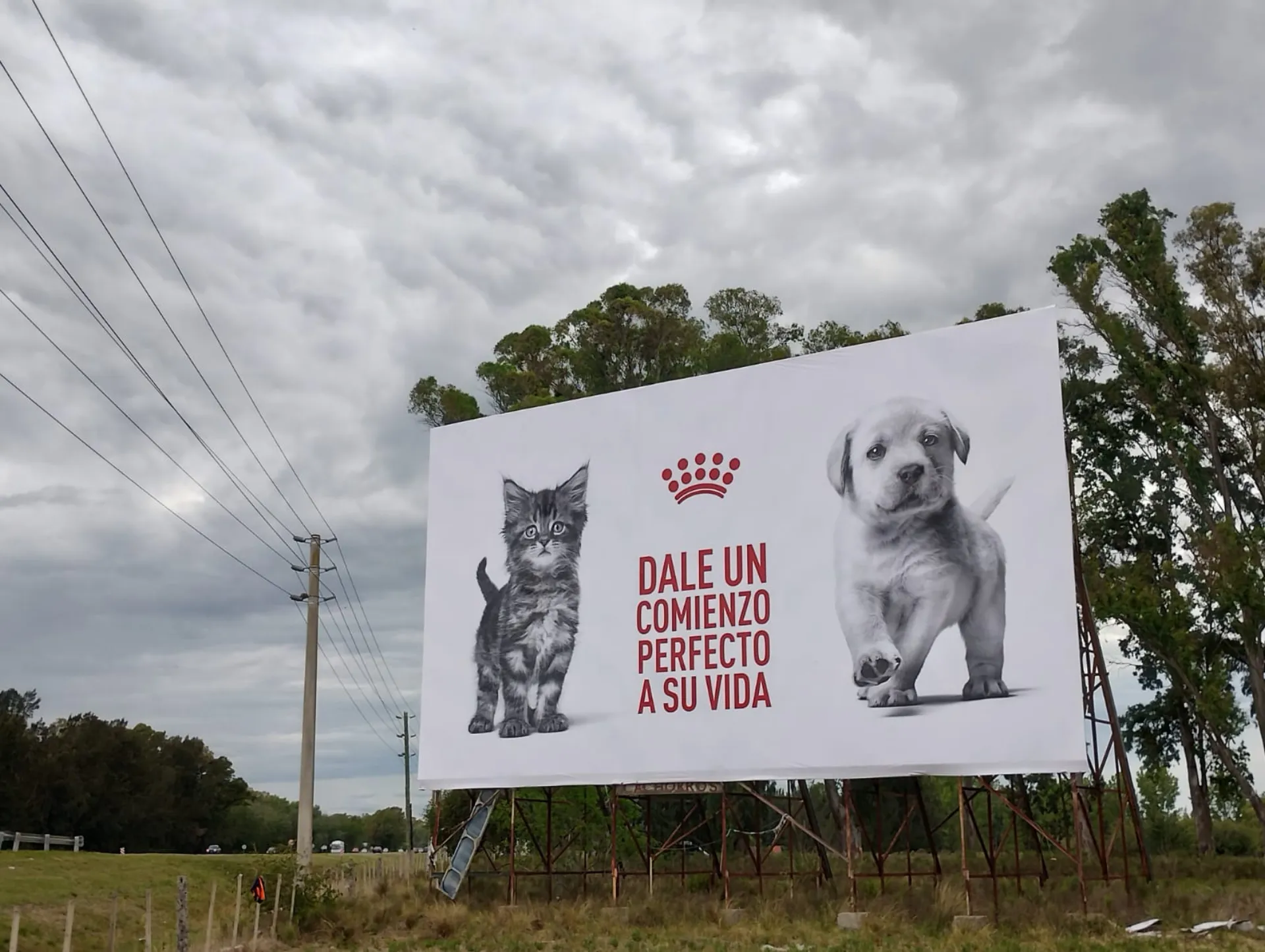 Royal Canin