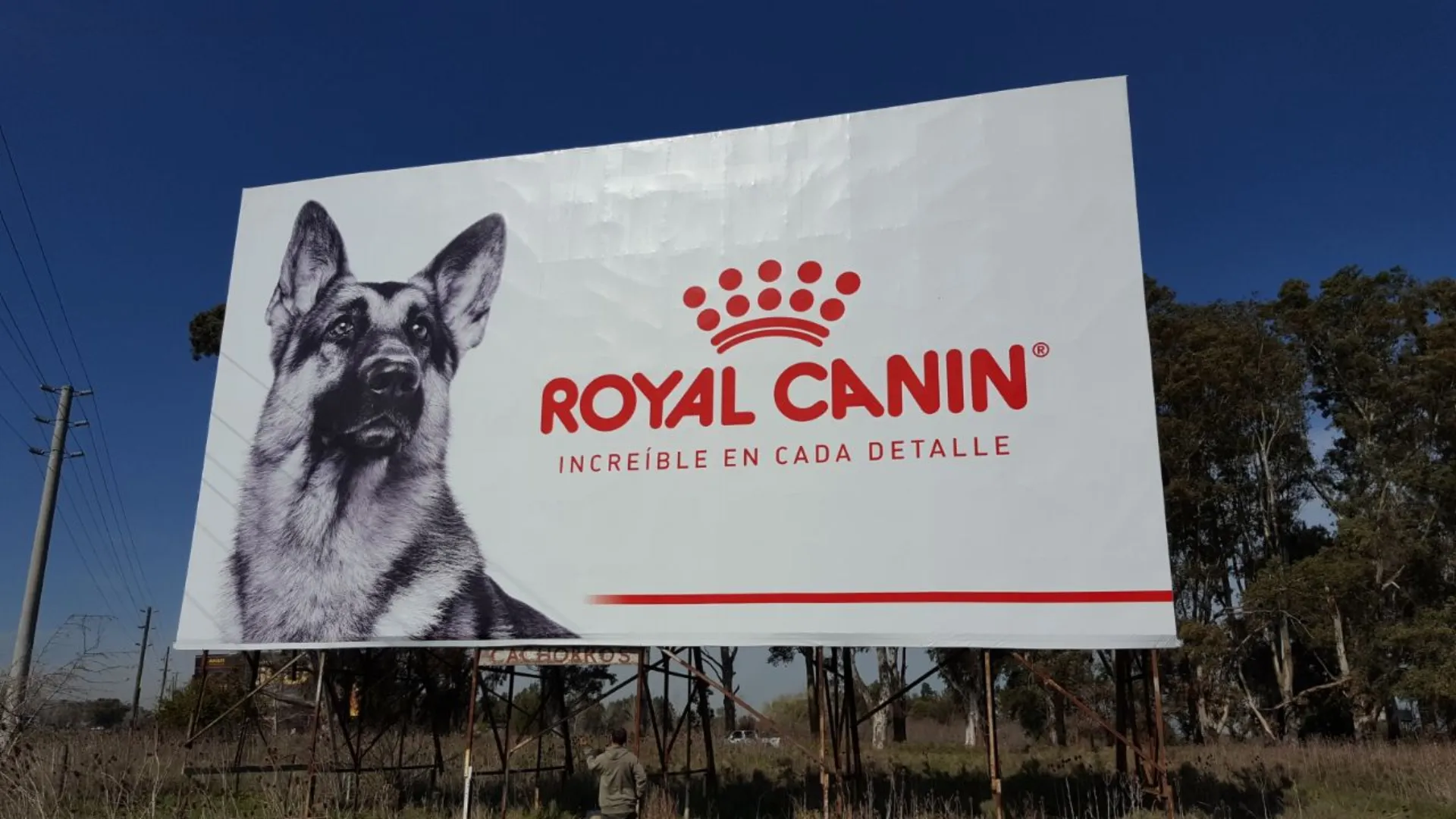 Royal Canin — Imagen 2