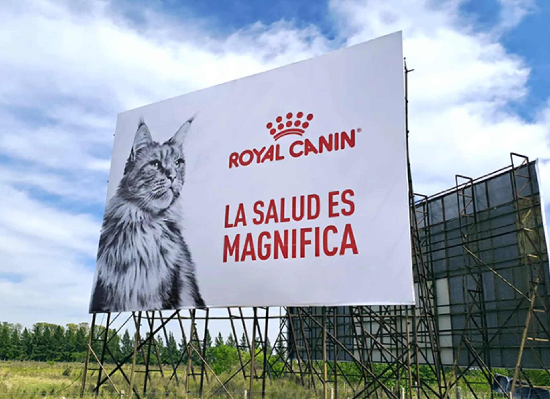 Royal Canin — Imagen 3