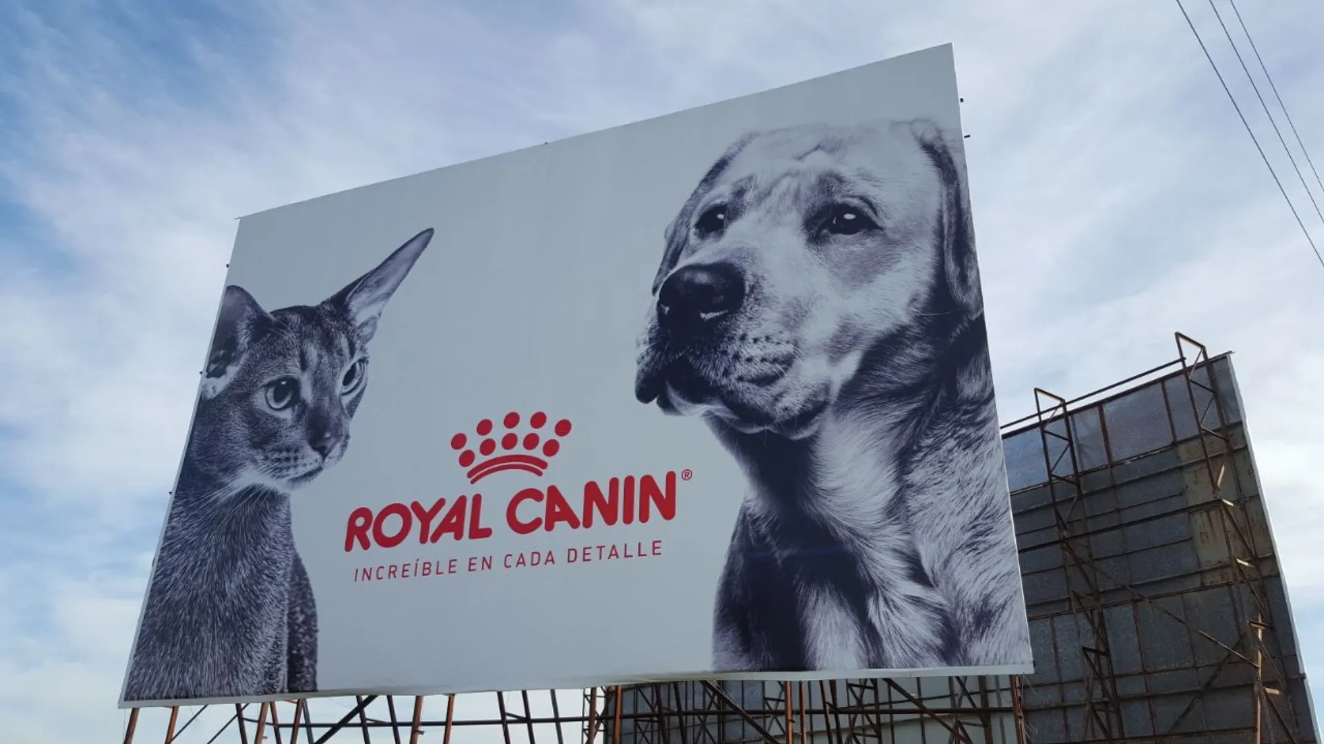 Royal Canin — Imagen 4