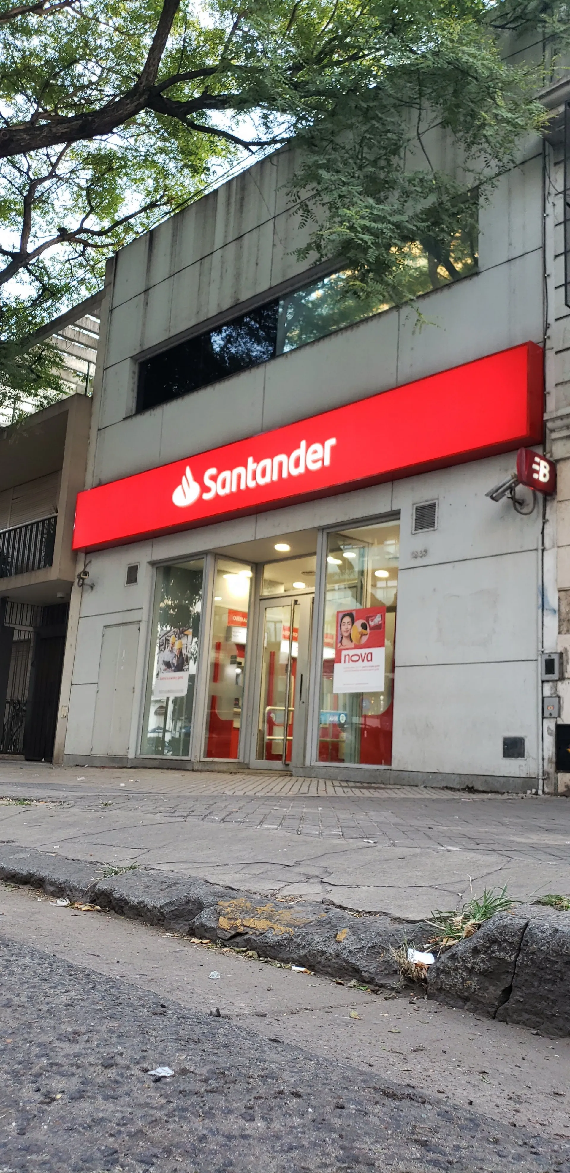Junior Gráfica