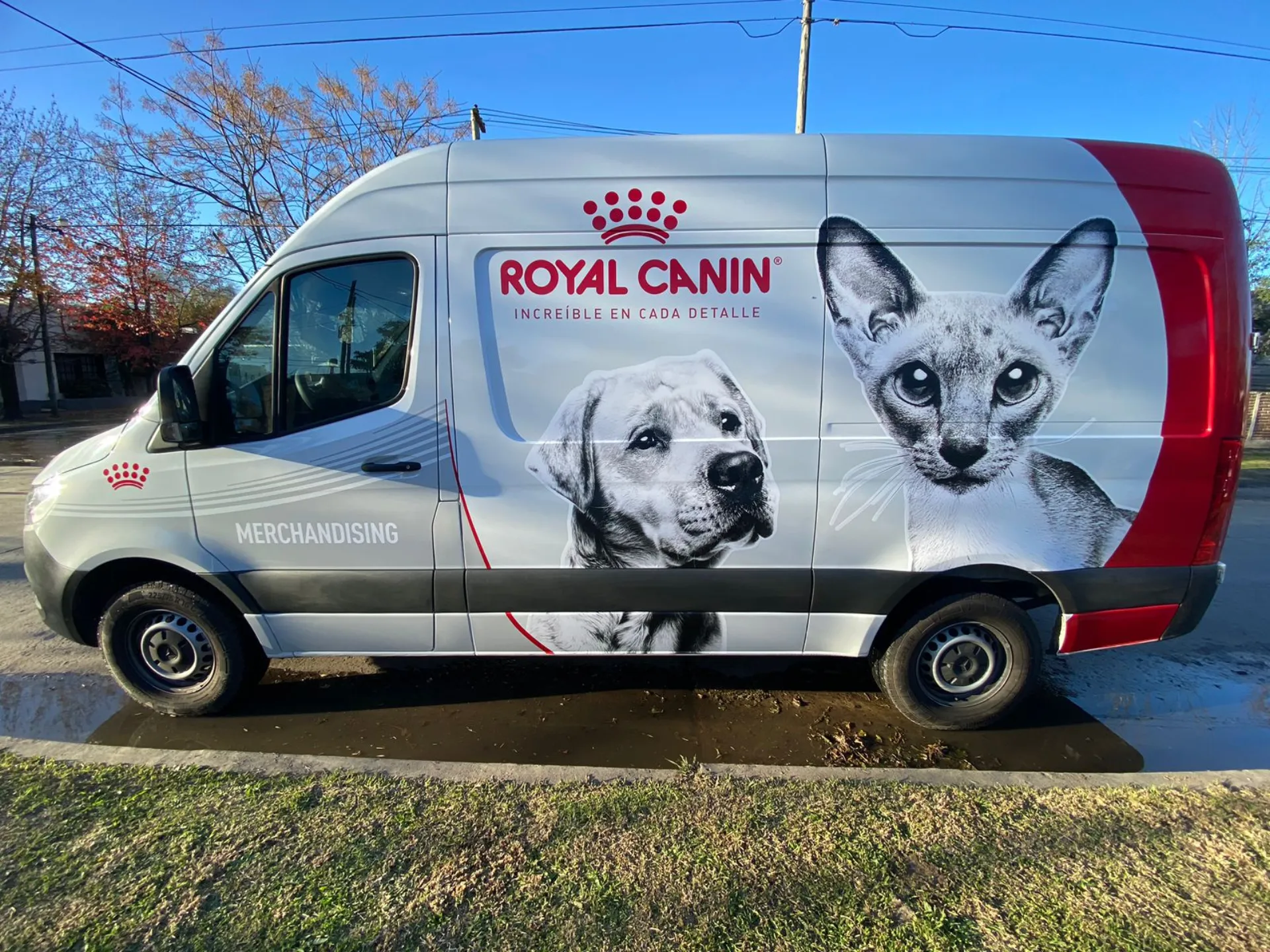 Royal Canin — Imagen 3