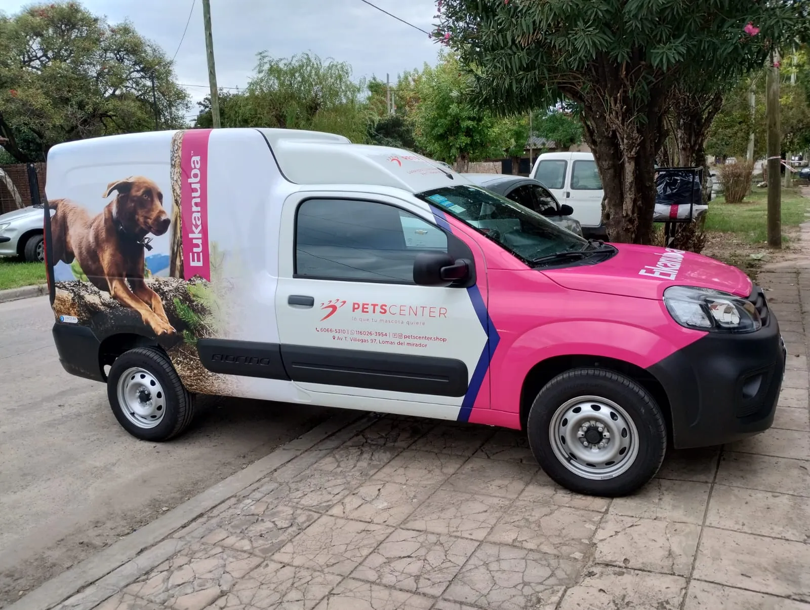 Gráfica Vehicular — 2